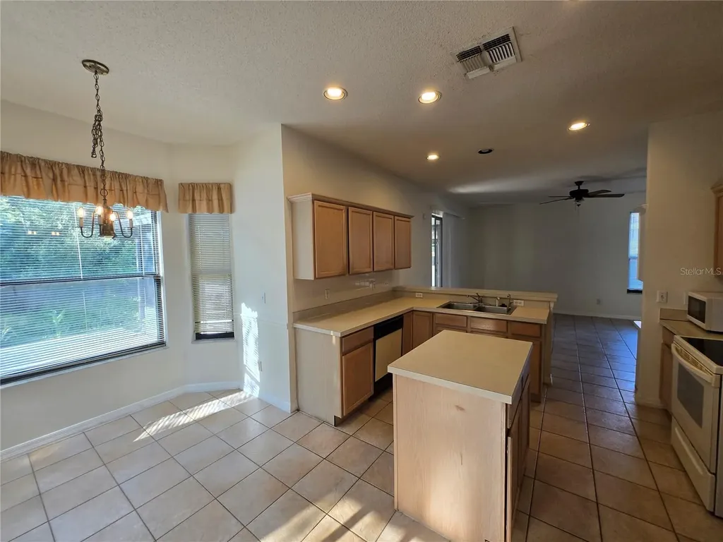 12018 Greco Orlando FL 32824
