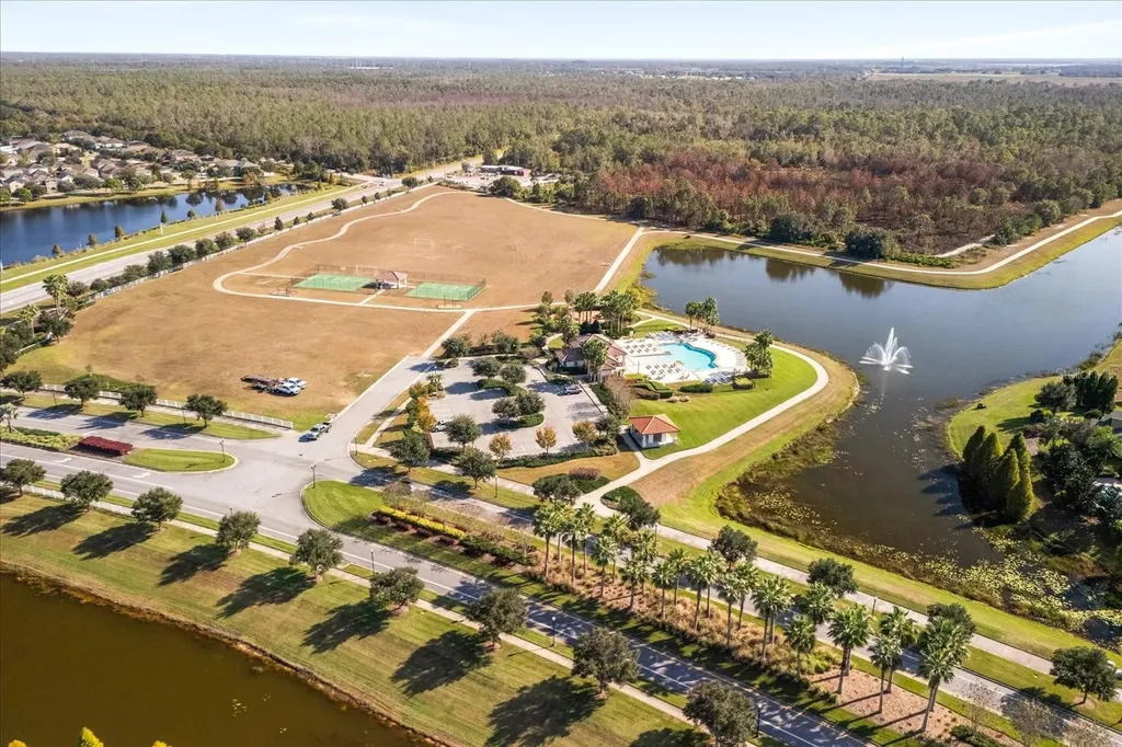 12036 Cardinal Flower Drive Riverview FL 33579