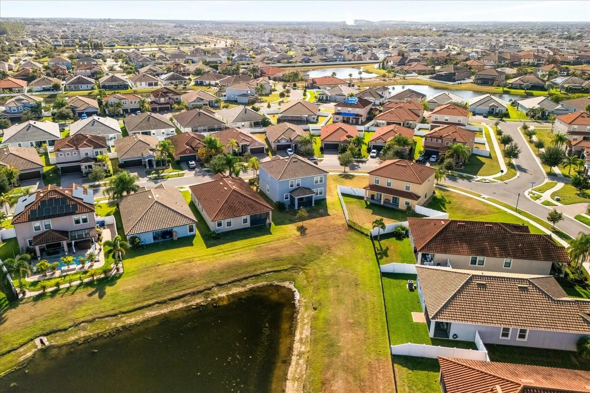 12036 Cardinal Flower Drive Riverview FL 33579