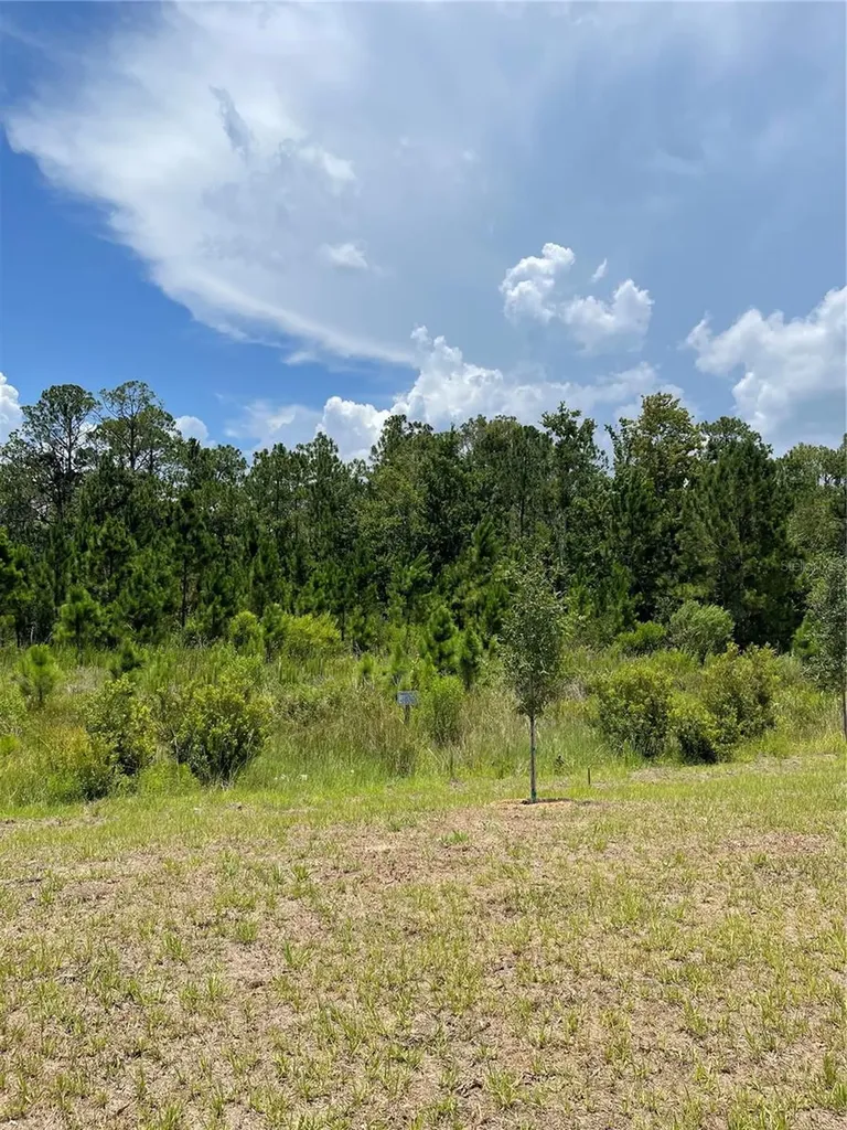 7630 Bent Tree Loop St Cloud FL 34771