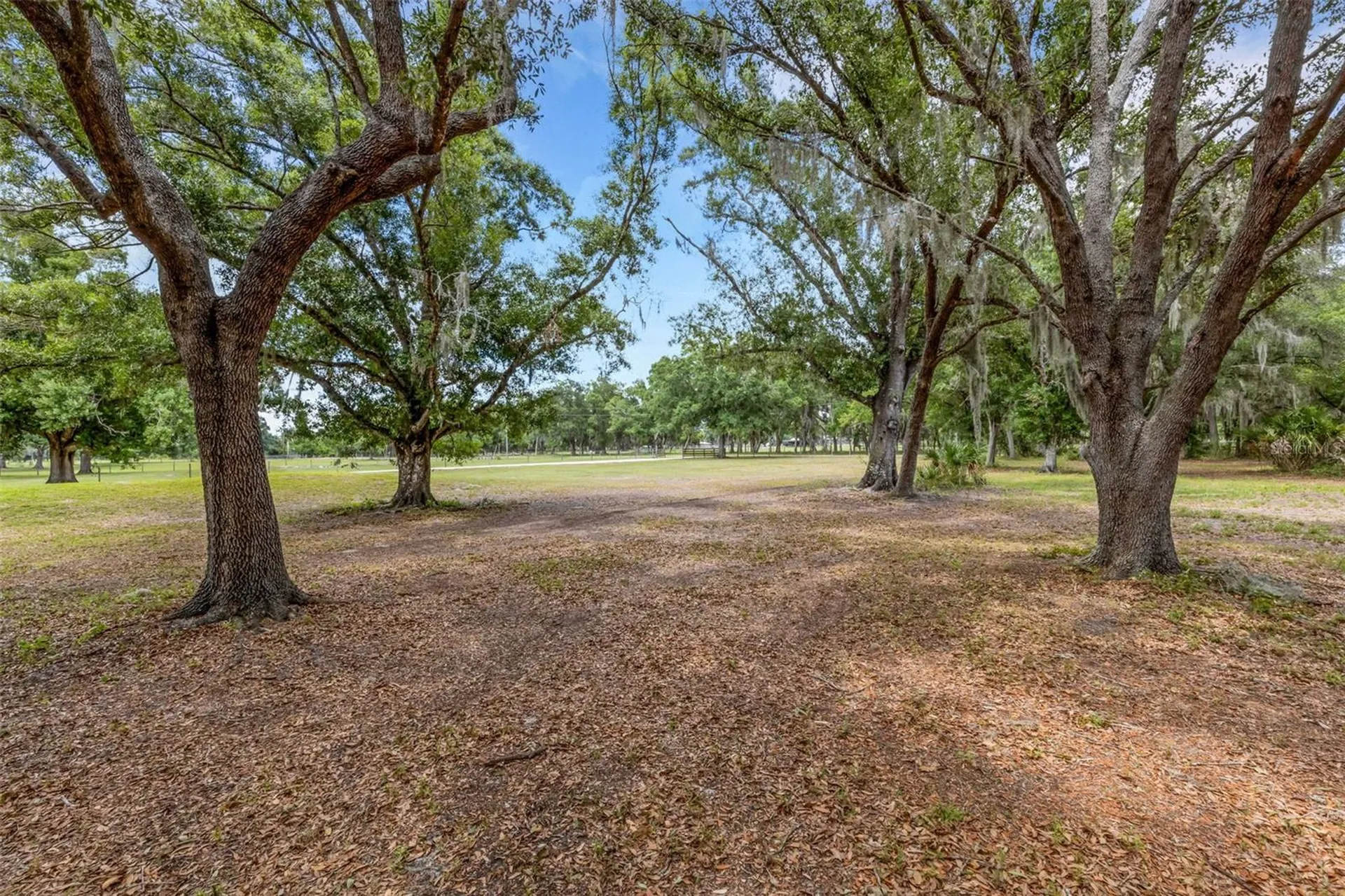 14960 Gibson Road Myakka City FL 34251
