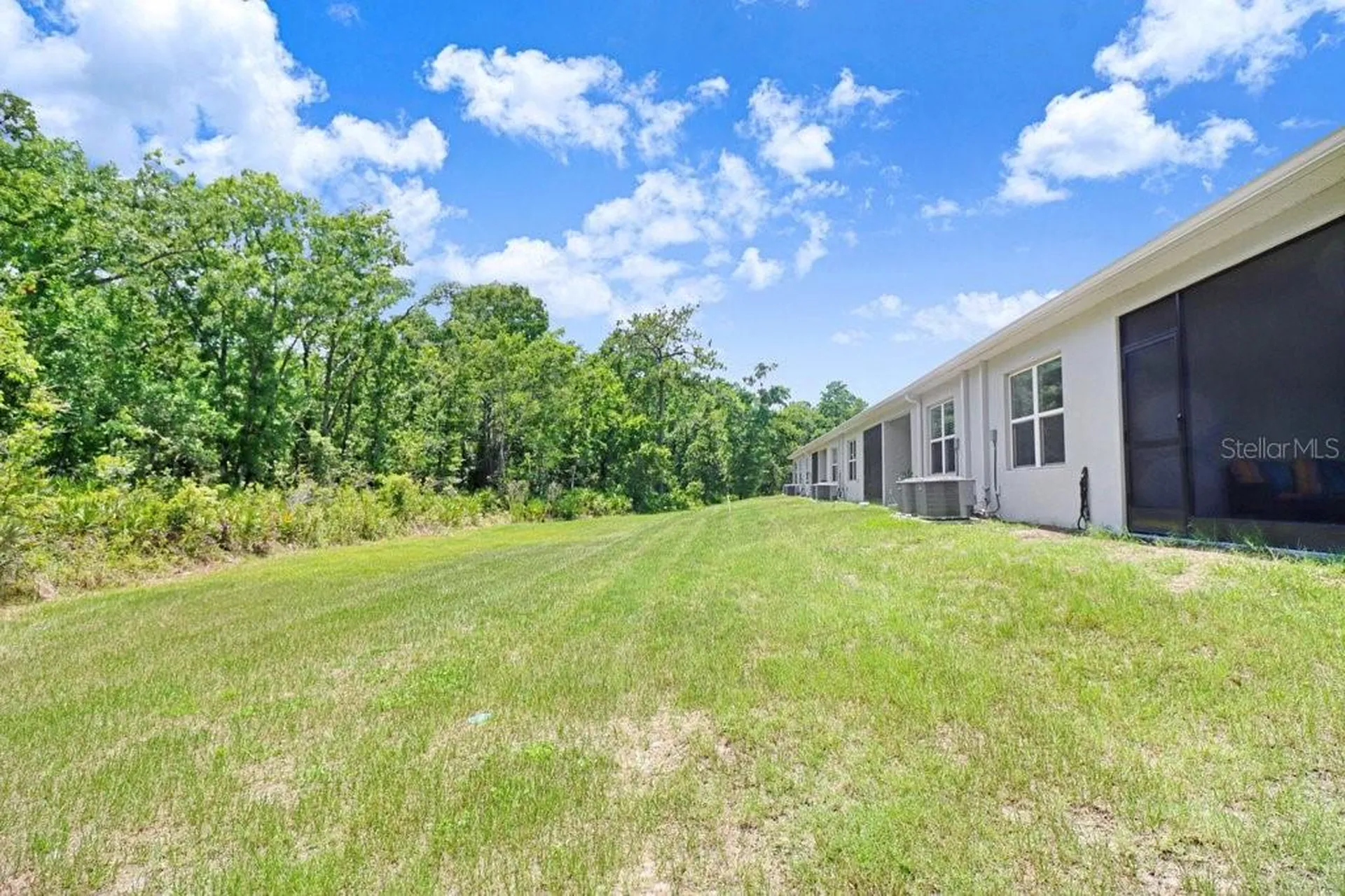 12214 Grizzly Lane New Port Richey FL 34654