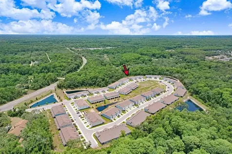 12214 Grizzly Lane New Port Richey FL 34654