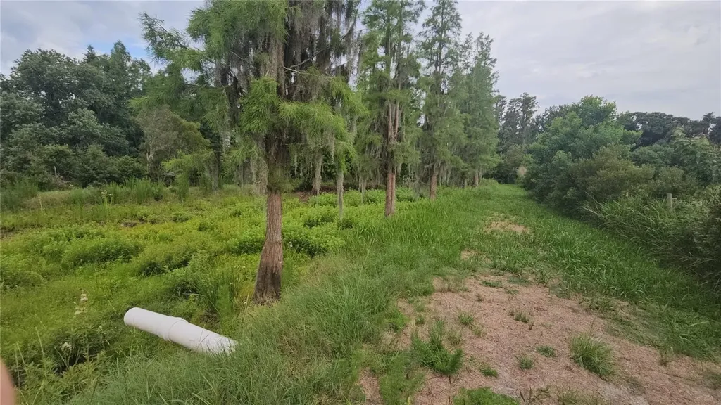 7309 Quail Meadow Road Plant City FL 33565