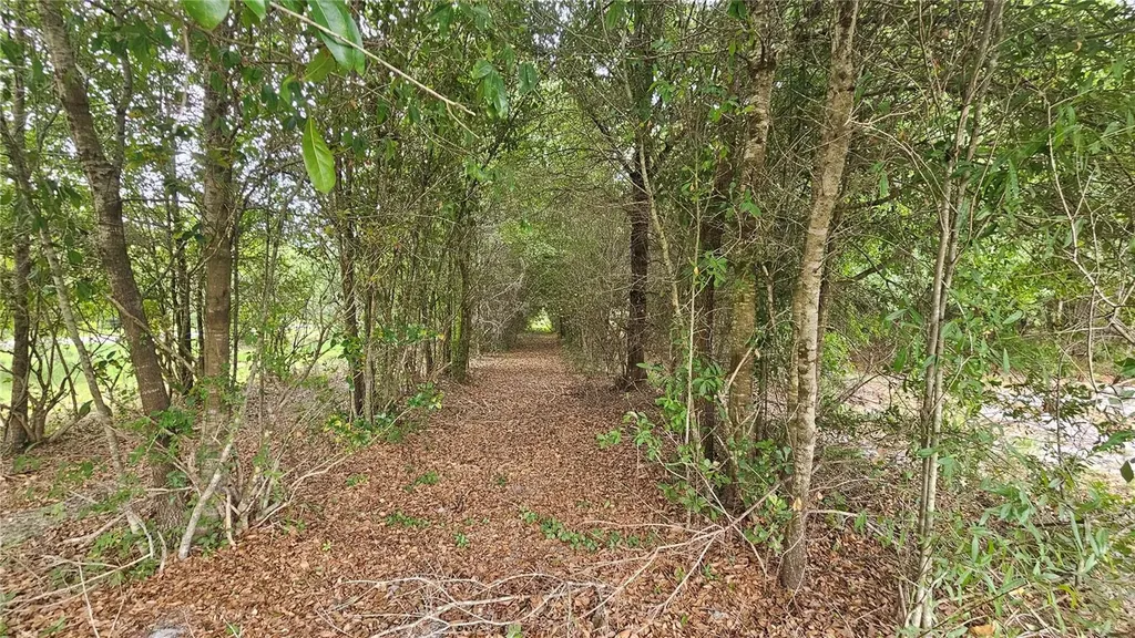 7309 Quail Meadow Road Plant City FL 33565