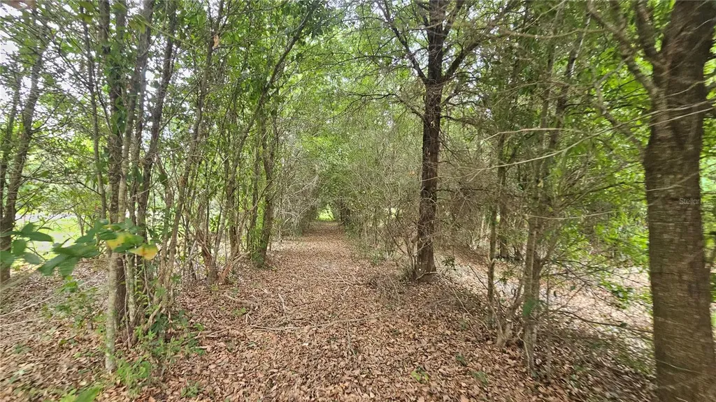 7309 Quail Meadow Road Plant City FL 33565