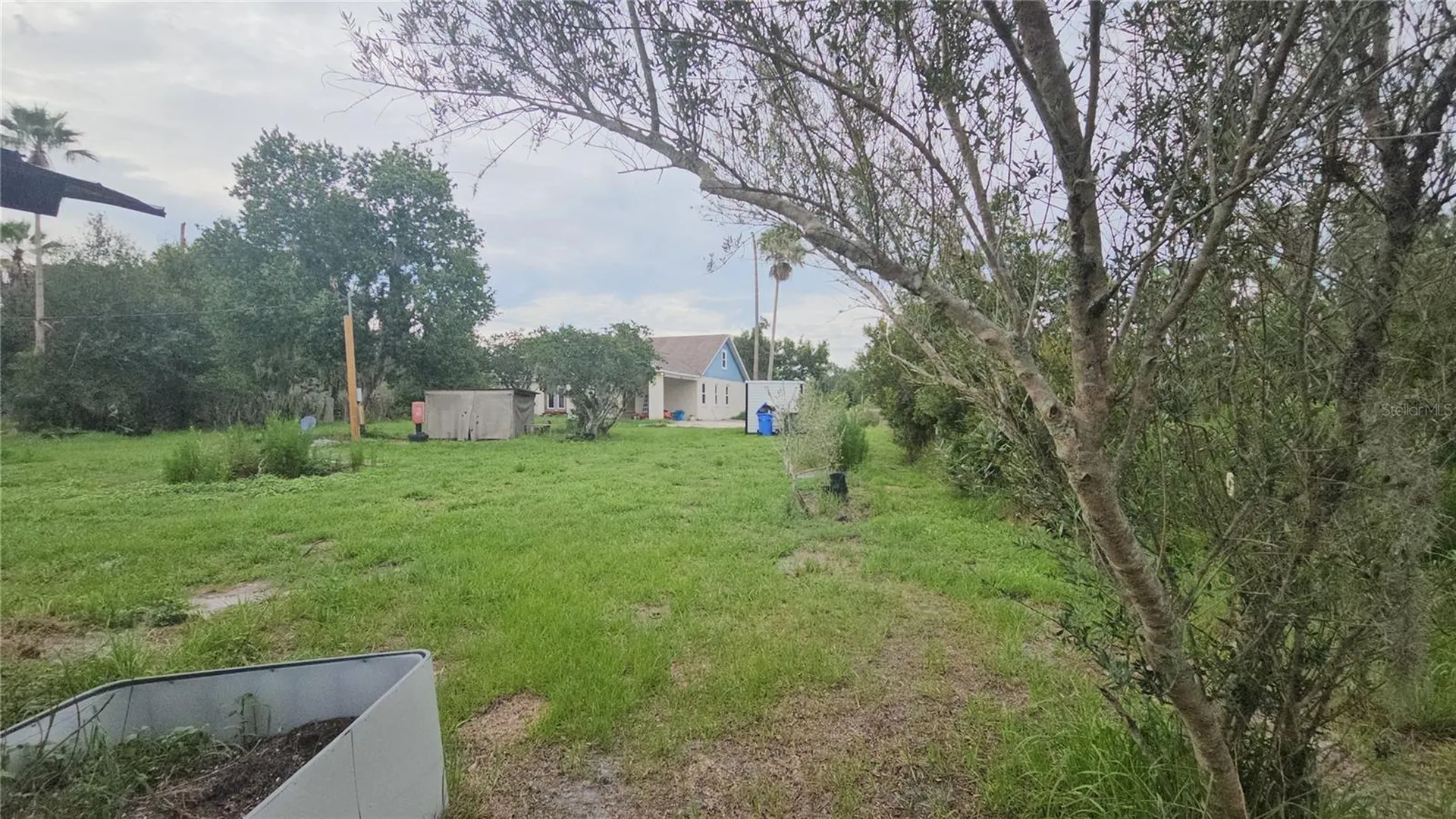 7309 Quail Meadow Road Plant City FL 33565