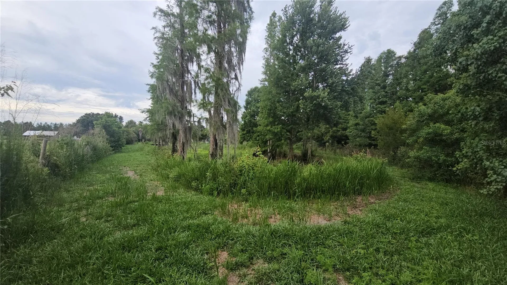 7309 Quail Meadow Road Plant City FL 33565