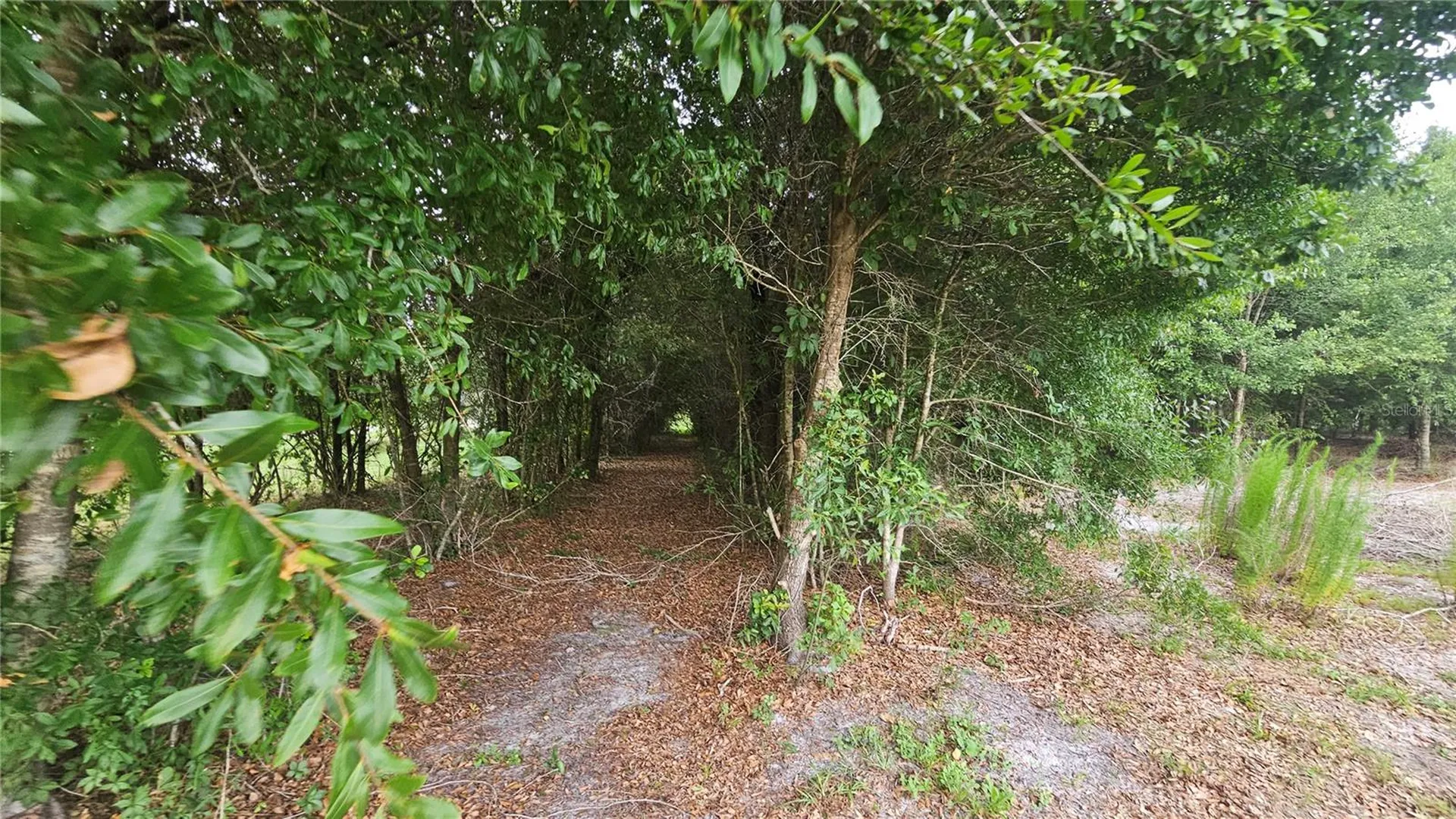 7309 Quail Meadow Road Plant City FL 33565