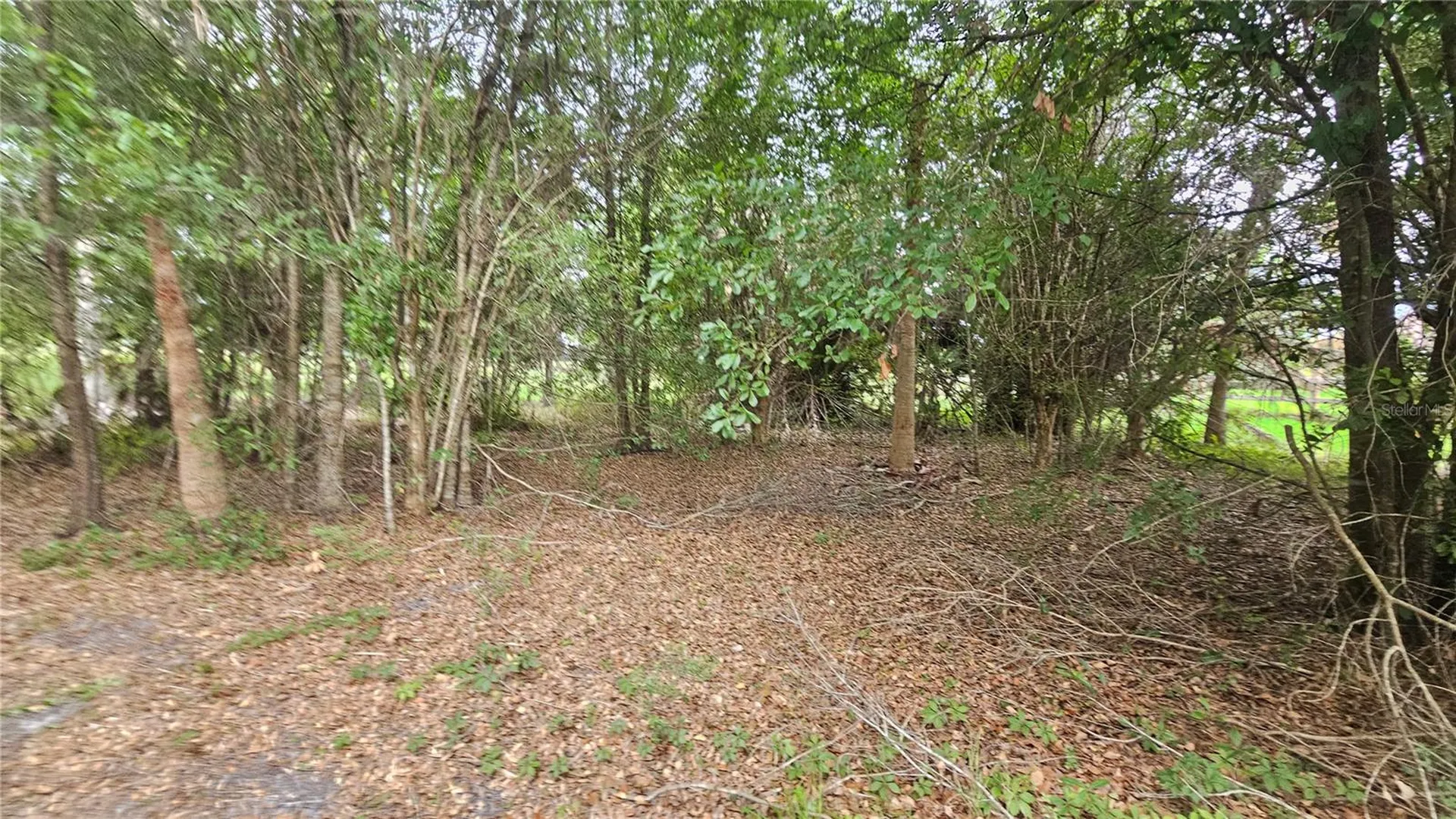 7309 Quail Meadow Road Plant City FL 33565