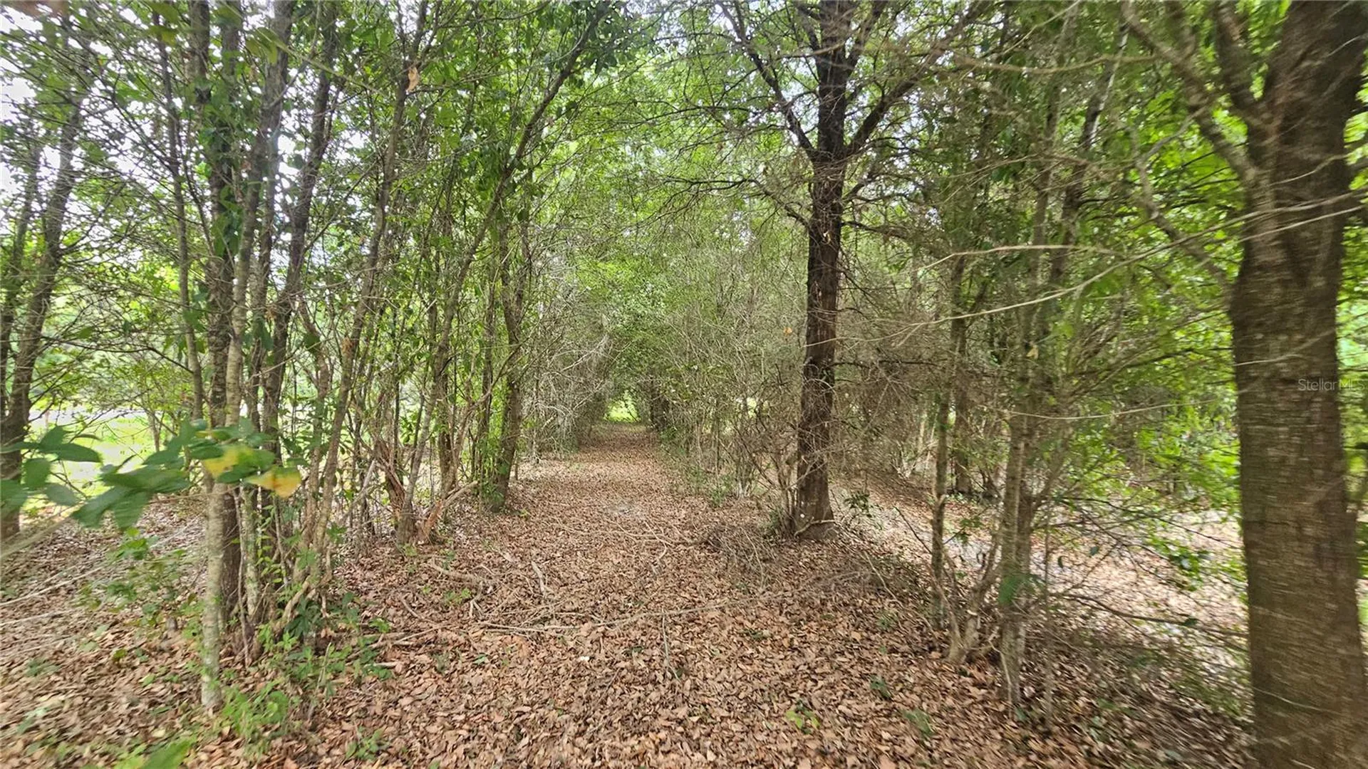 7309 Quail Meadow Road Plant City FL 33565