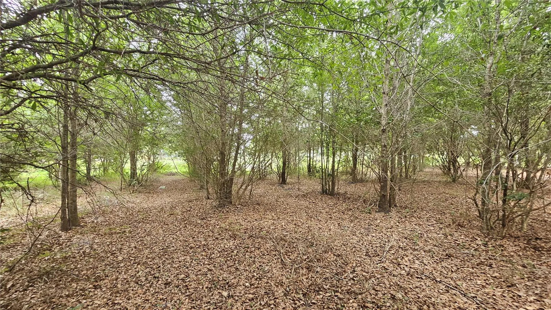 7309 Quail Meadow Road Plant City FL 33565