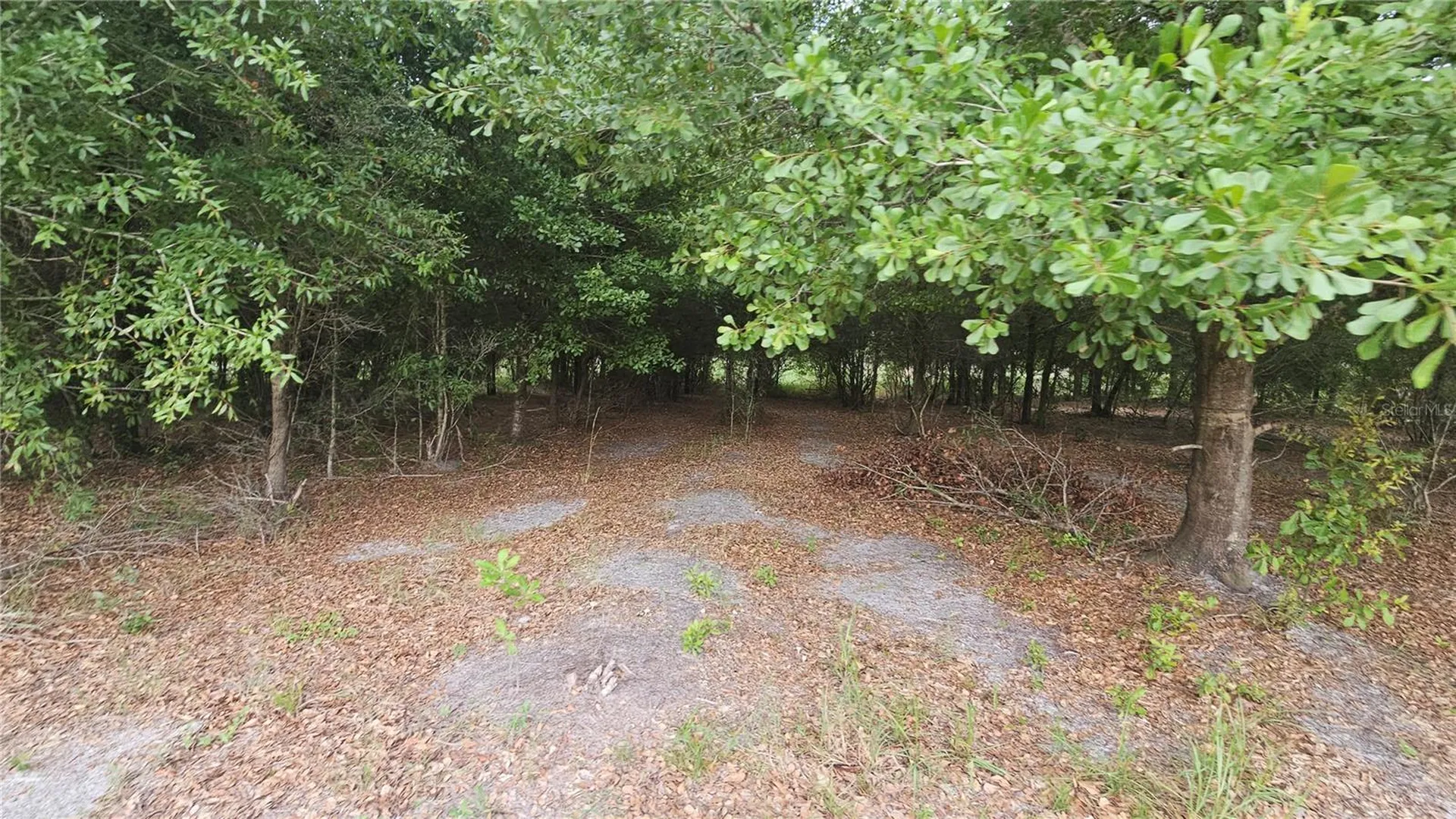 7309 Quail Meadow Road Plant City FL 33565