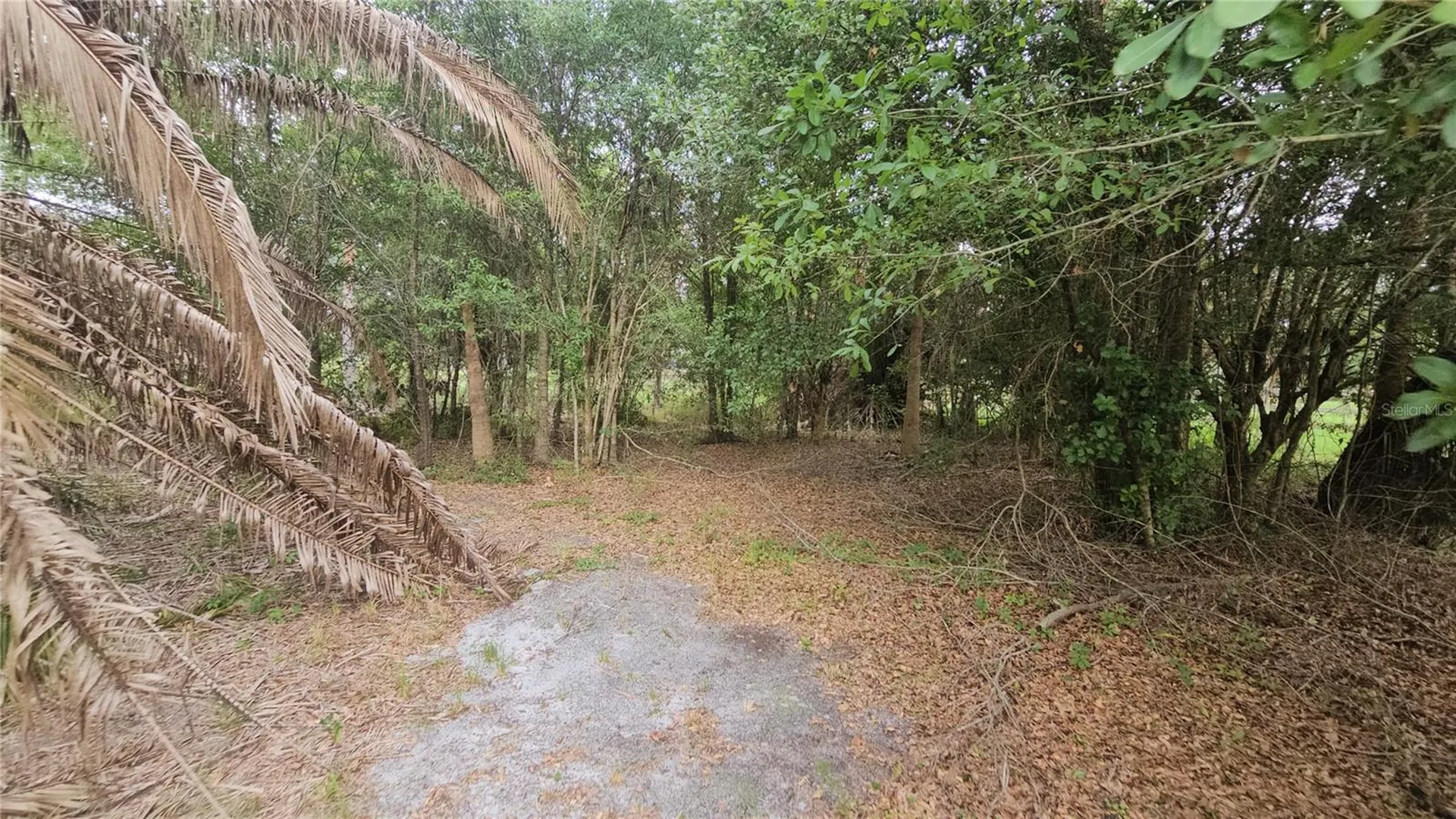 7309 Quail Meadow Road Plant City FL 33565