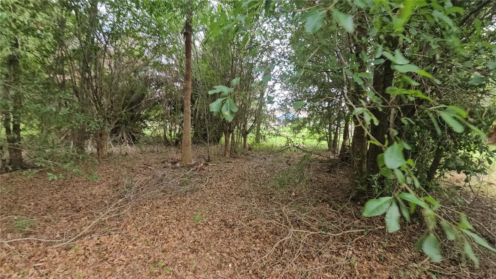 7309 Quail Meadow Road Plant City FL 33565