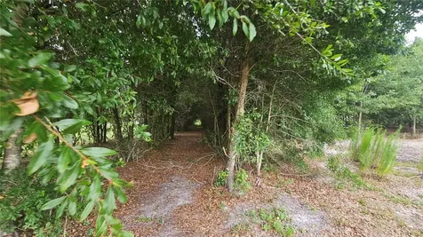 7309 Quail Meadow Road Plant City FL 33565