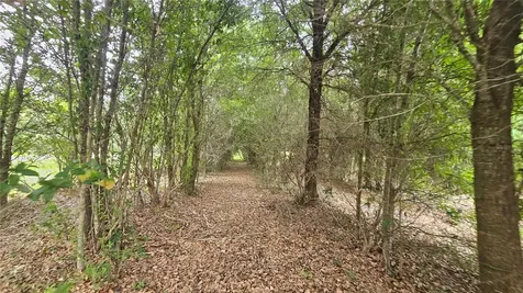 7309 Quail Meadow Road Plant City FL 33565