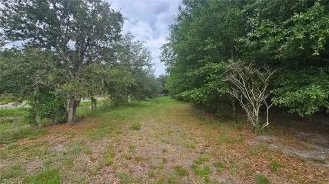 7309 Quail Meadow Road Plant City FL 33565