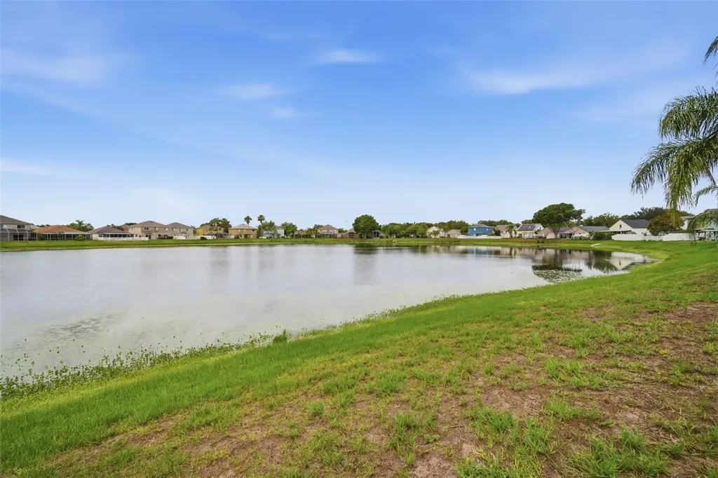 10604 Lakeside Vista Drive Riverview FL 33569