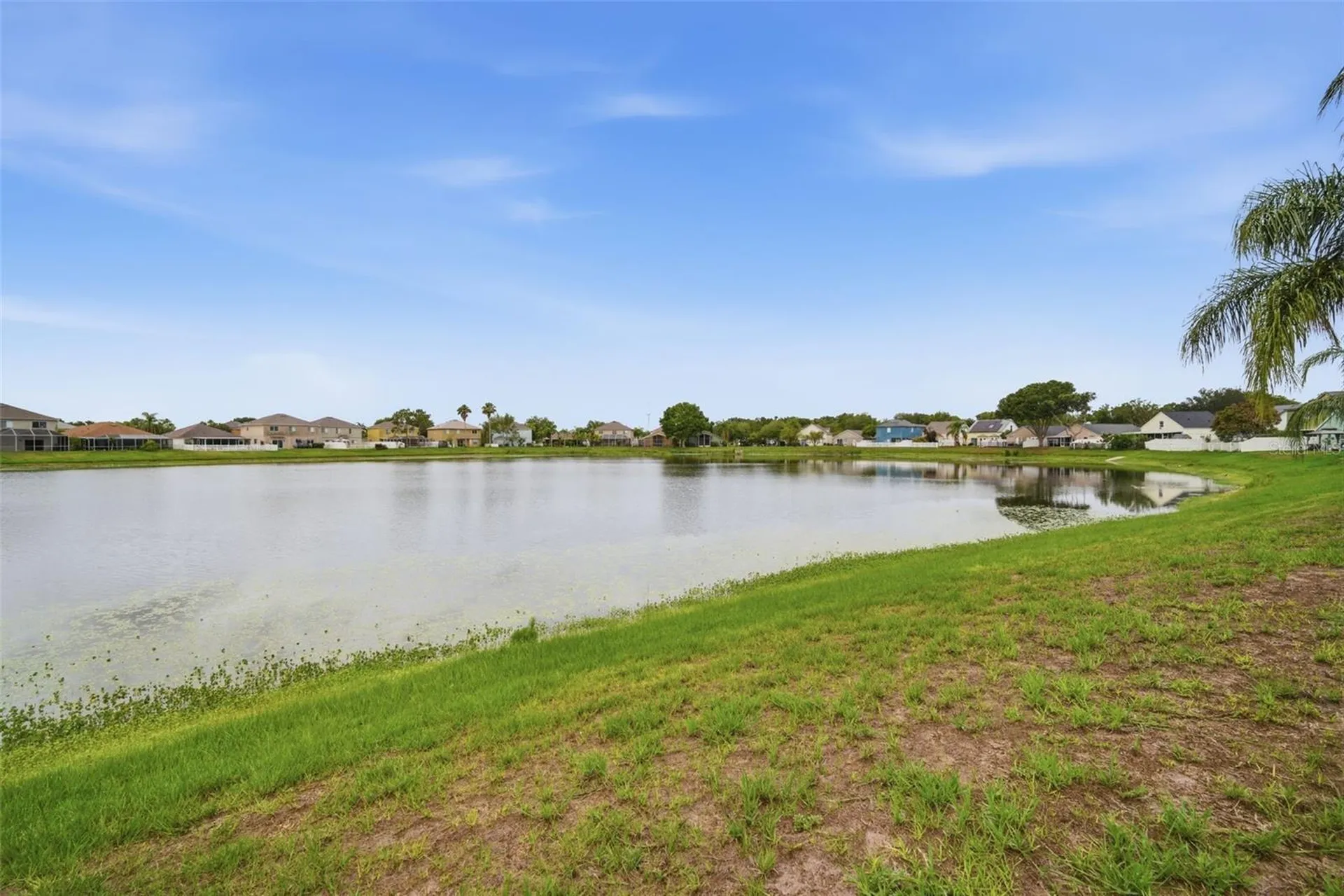 10604 Lakeside Vista Drive Riverview FL 33569