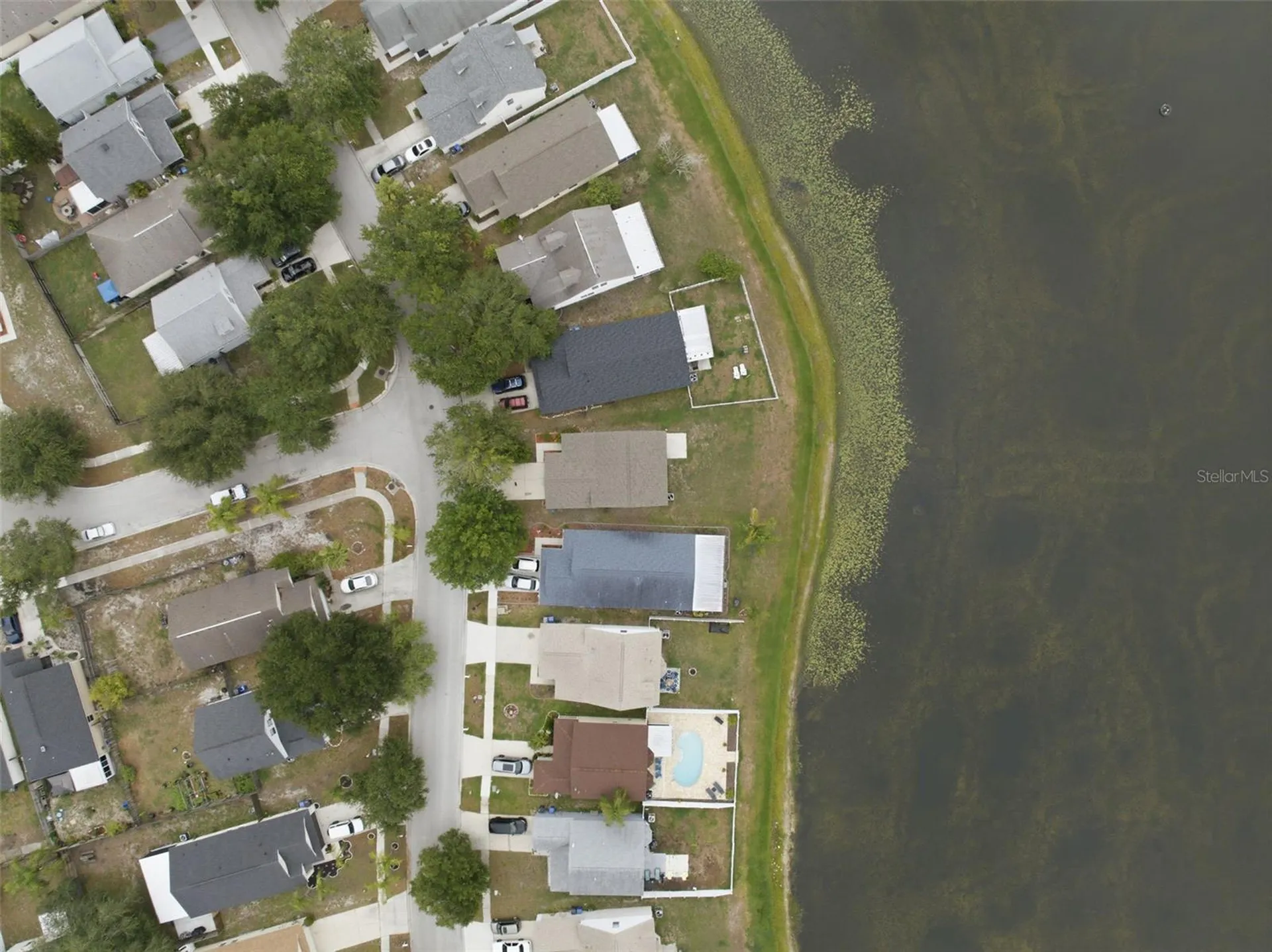10604 Lakeside Vista Drive Riverview FL 33569