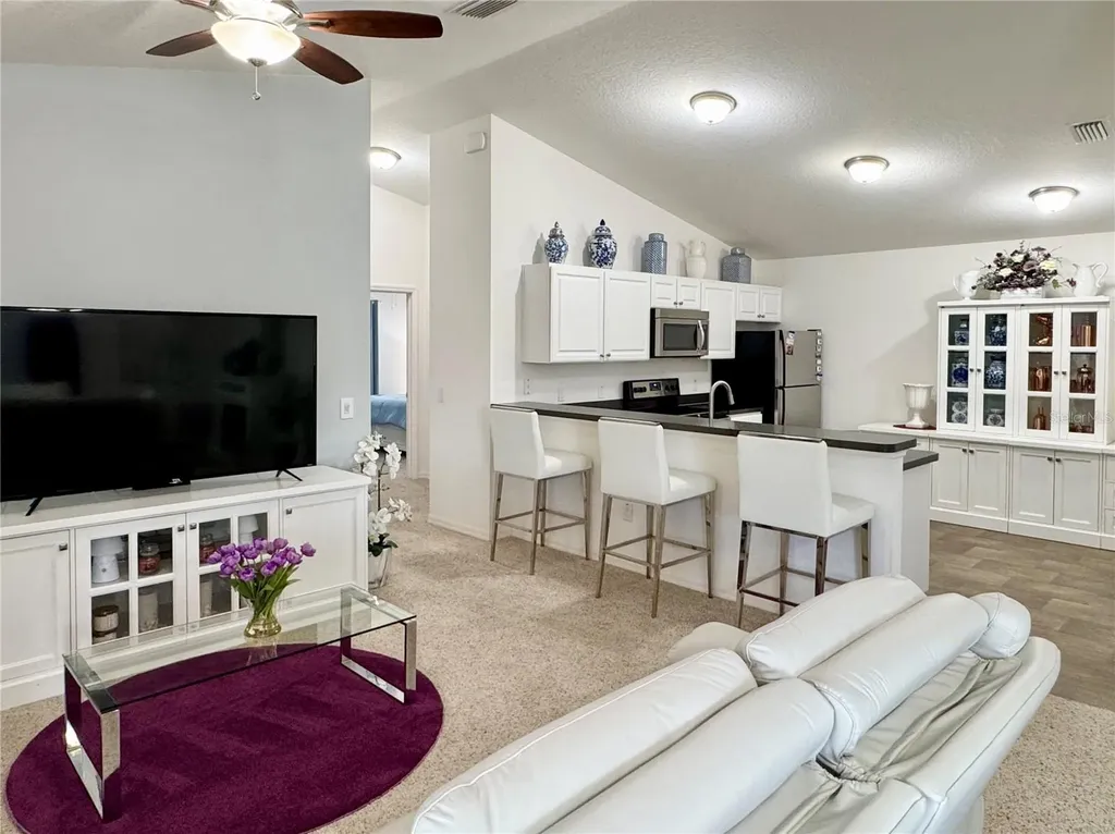 1479 Dynasty Place The Villages FL 32163
