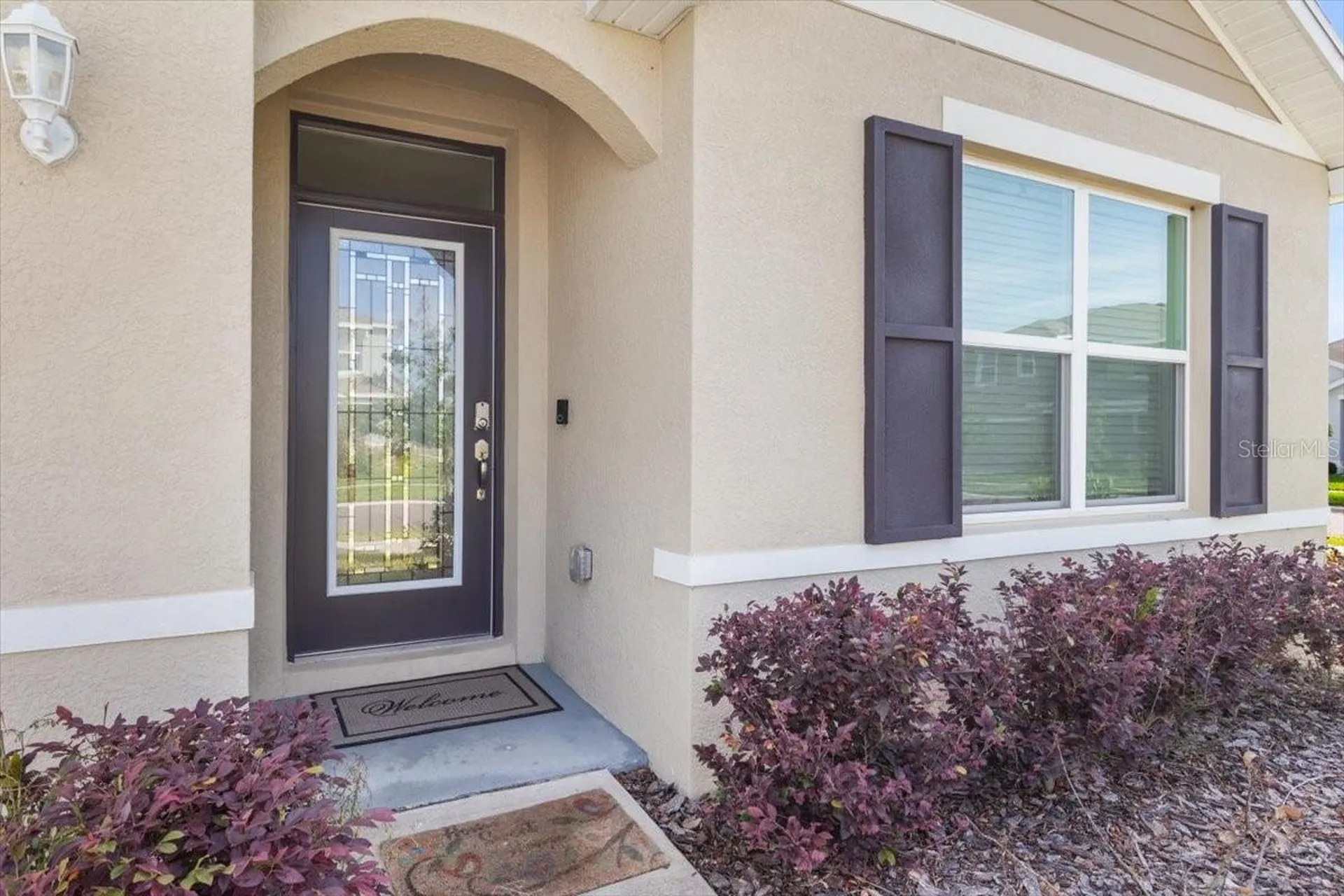 35830 Ellsworth Place Zephyrhills FL 33541