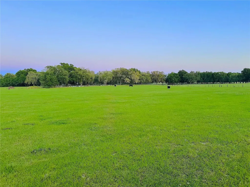 10710 Mcintosh Road Thonotosassa FL 33592
