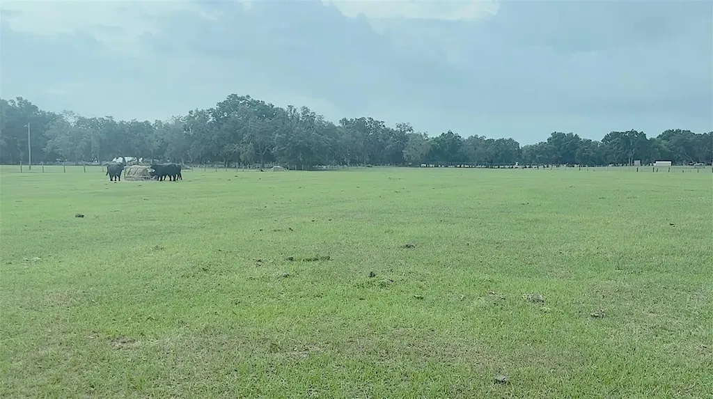 10710 Mcintosh Road Thonotosassa FL 33592