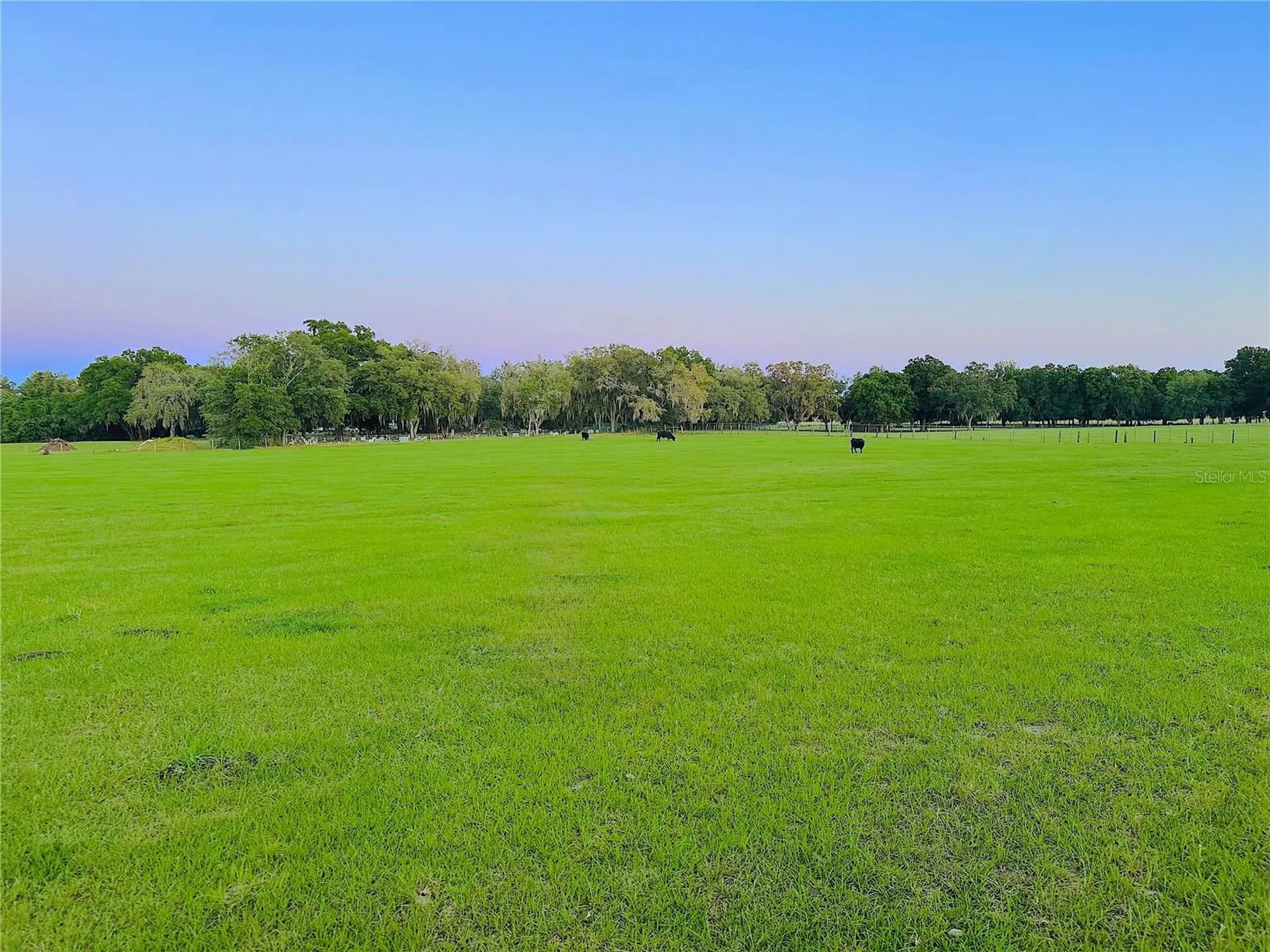 10710 Mcintosh Road Thonotosassa FL 33592
