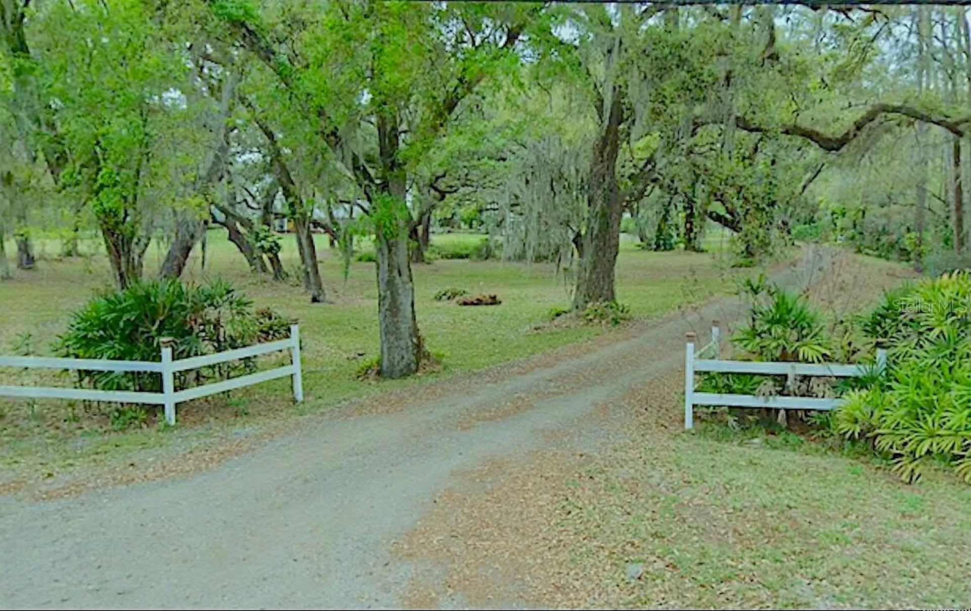 10710 Mcintosh Road Thonotosassa FL 33592