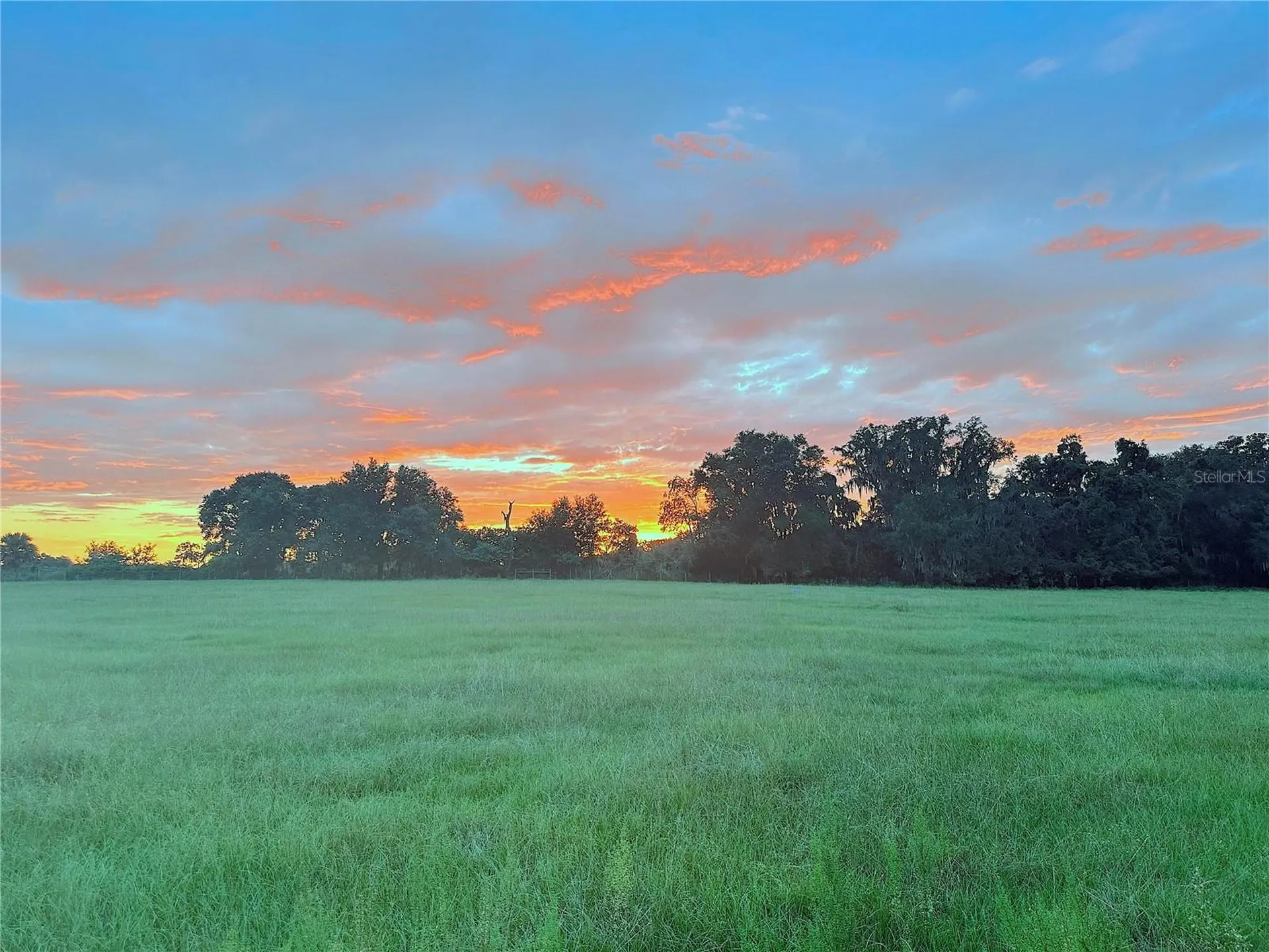 10710 Mcintosh Road Thonotosassa FL 33592