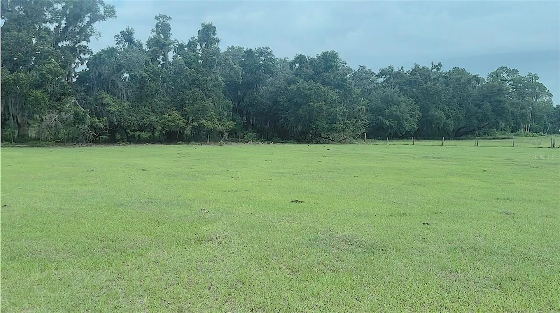 10710 Mcintosh Road Thonotosassa FL 33592