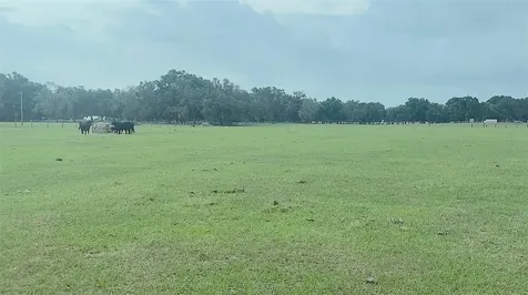 10710 Mcintosh Road Thonotosassa FL 33592