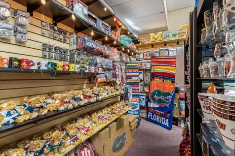 317 N Donnelly Mount Dora FL 32757