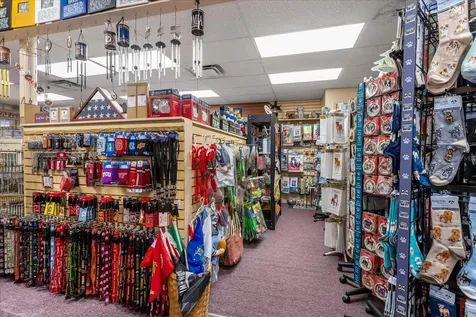 317 N Donnelly Mount Dora FL 32757