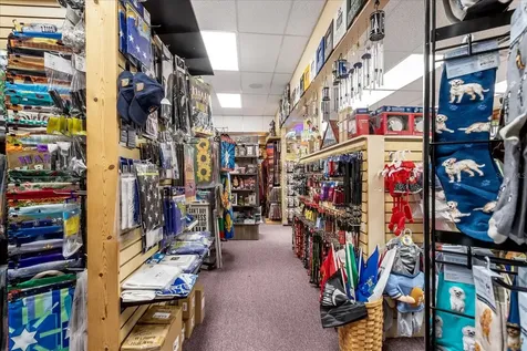 317 N Donnelly Mount Dora FL 32757