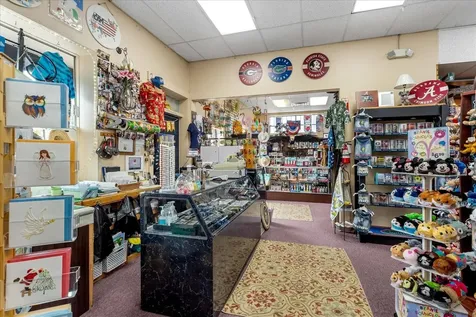 317 N Donnelly Mount Dora FL 32757