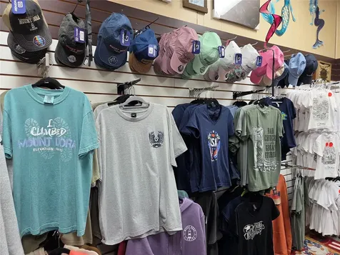 317 N Donnelly Mount Dora FL 32757