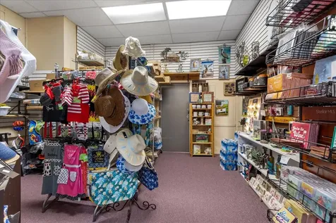 317 N Donnelly Mount Dora FL 32757