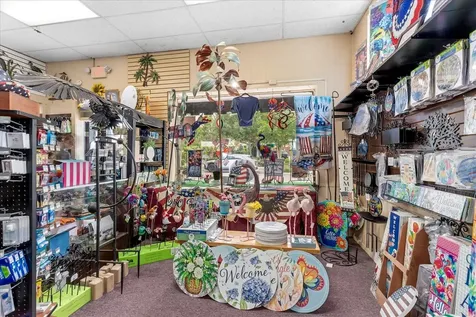 317 N Donnelly Mount Dora FL 32757