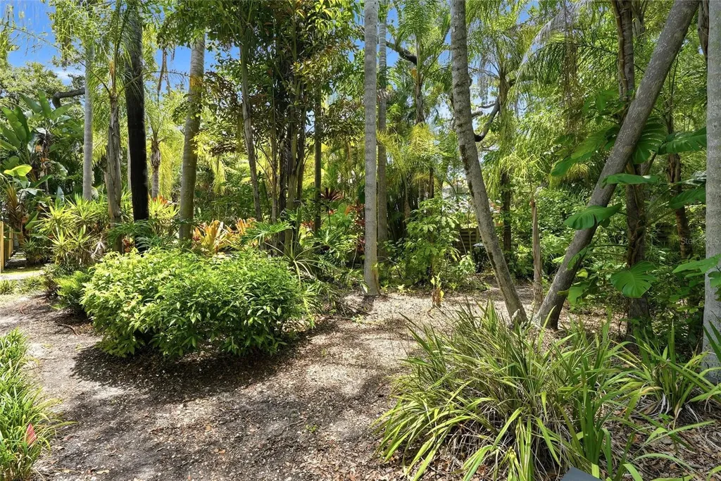 Lot 14 E Marshall Street Safety Harbor FL 34695