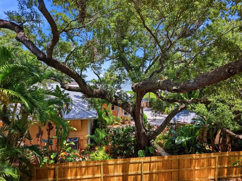 Lot 14 E Marshall Street Safety Harbor FL 34695