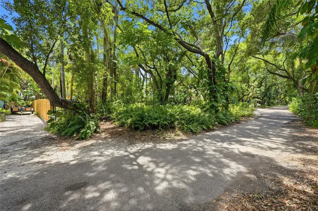 Lot 14 E Marshall Street Safety Harbor FL 34695