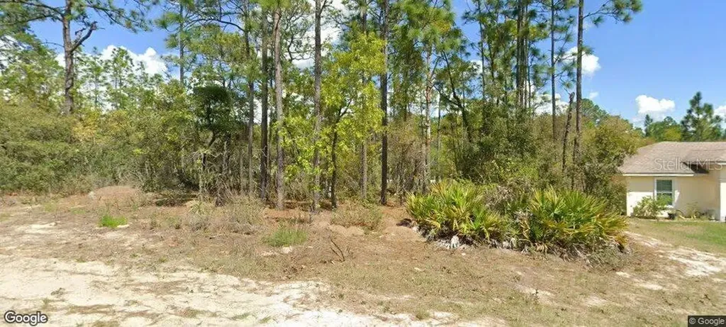 9185 N Paradisea Drive Dunnellon FL 34433