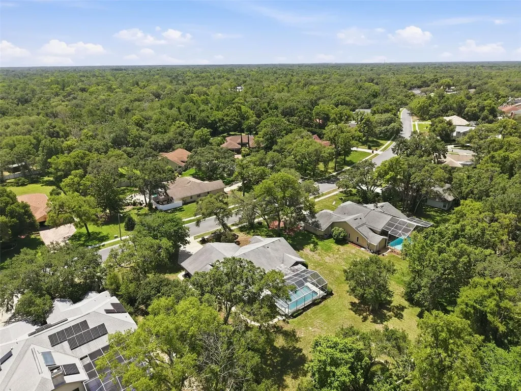 18451 Winding Oaks Boulevard Hudson FL 34667