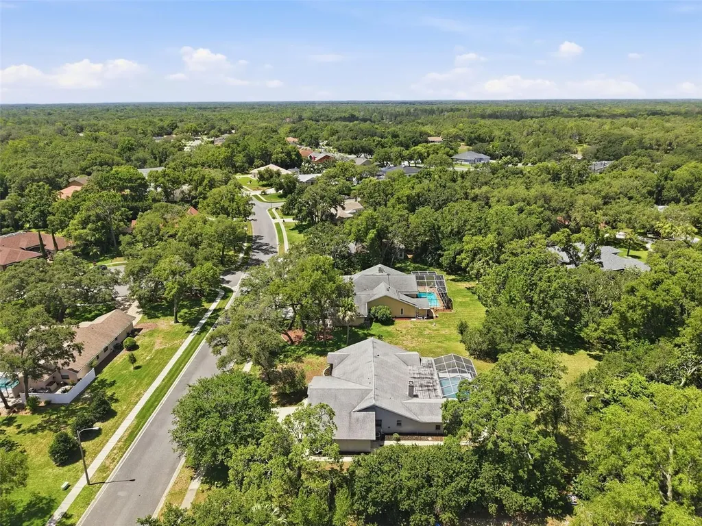 18451 Winding Oaks Boulevard Hudson FL 34667