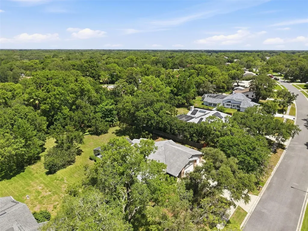 18451 Winding Oaks Boulevard Hudson FL 34667