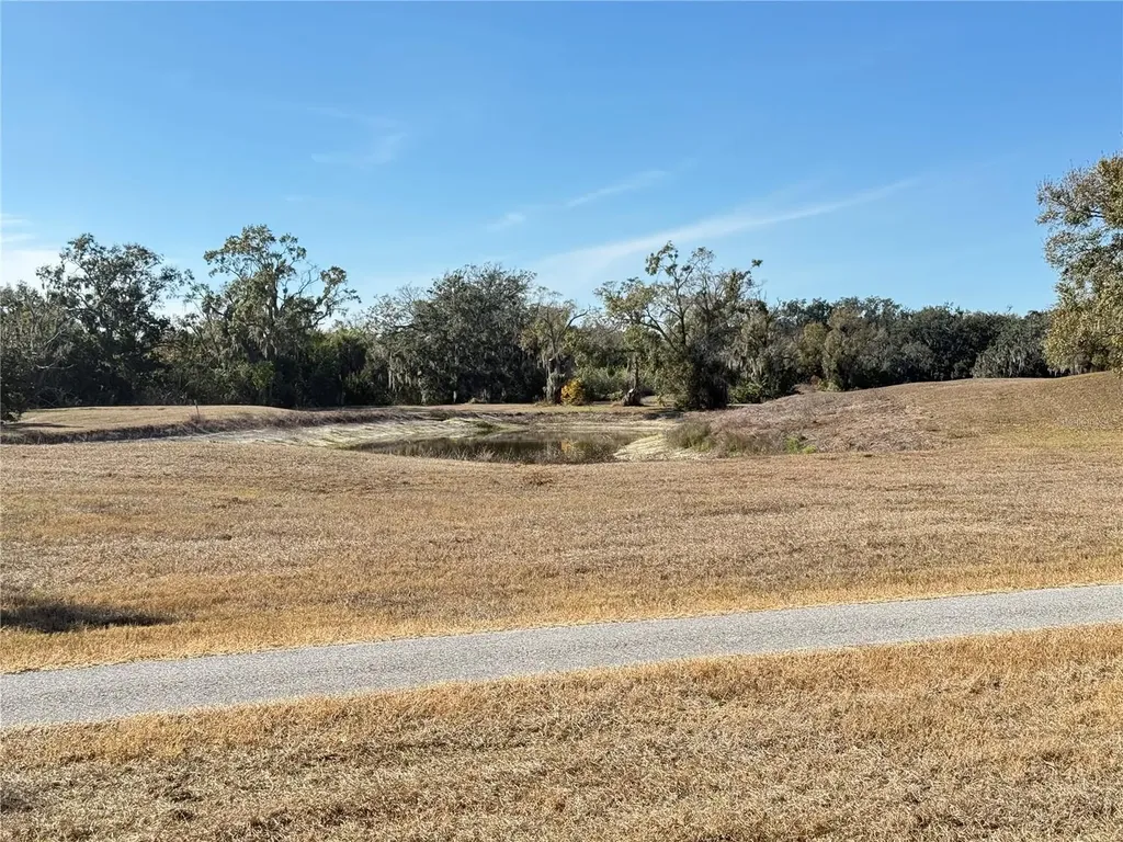 101 Cambridge Trail Sun City Center FL 33573