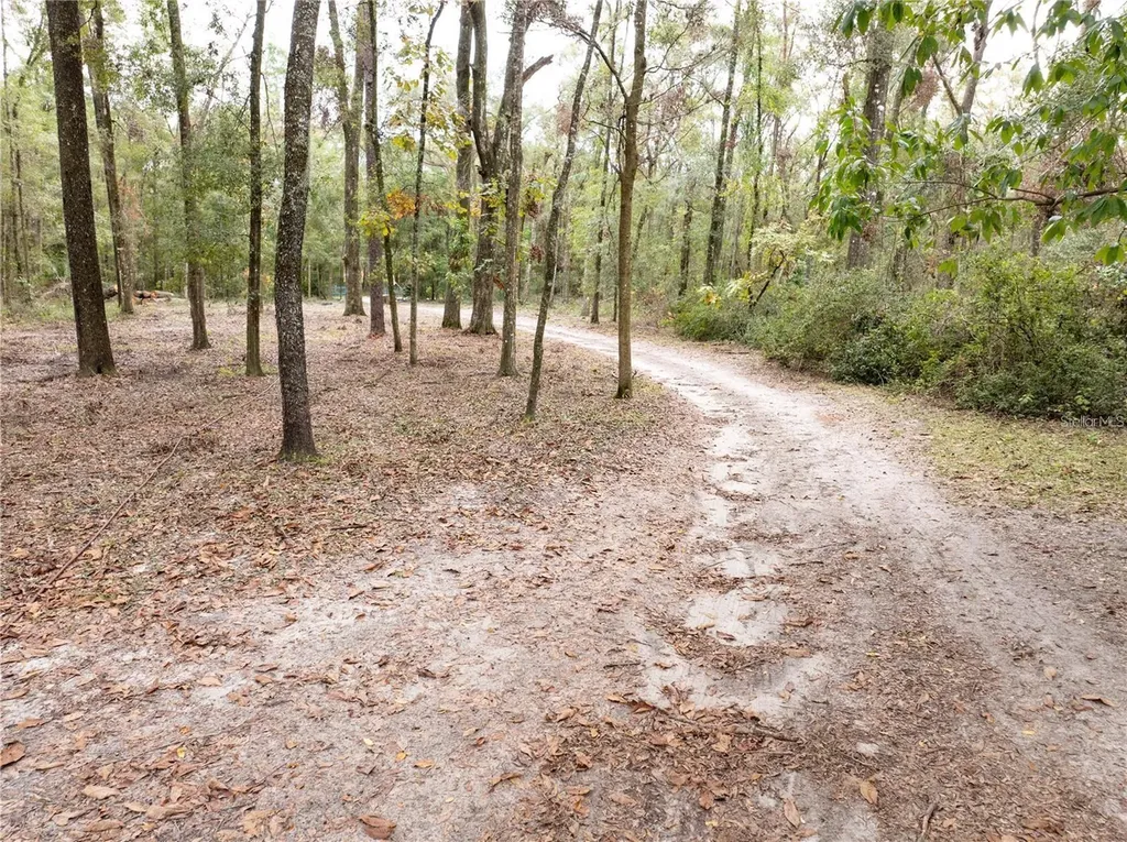 19396 NW 132nd Place Alachua FL 32615